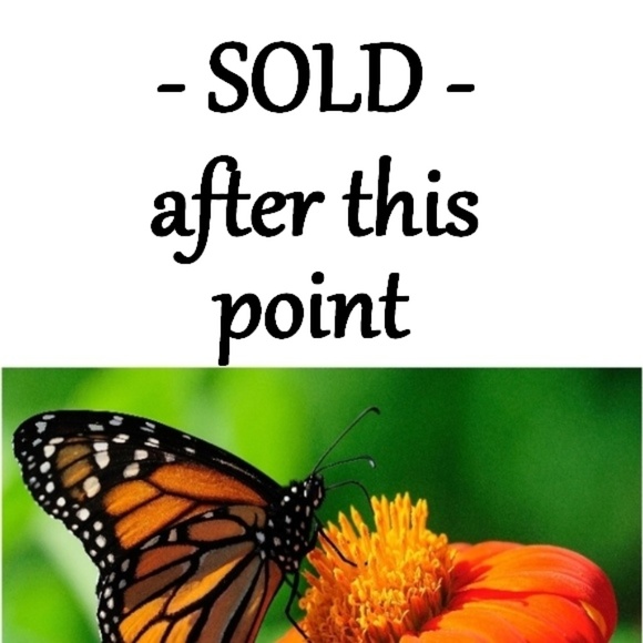 SOLD AFTER THIS POINT - Picture 1 of 1